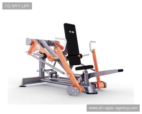 健身器材中适合深蹲训练的器械有哪些