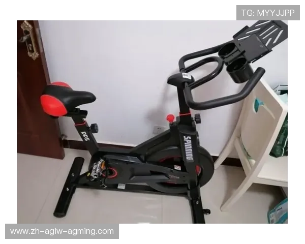 类似单车的健身器材有哪些?不同款式的适用性分析 类似单车的健身器材有哪些?不同款式的适用性分析