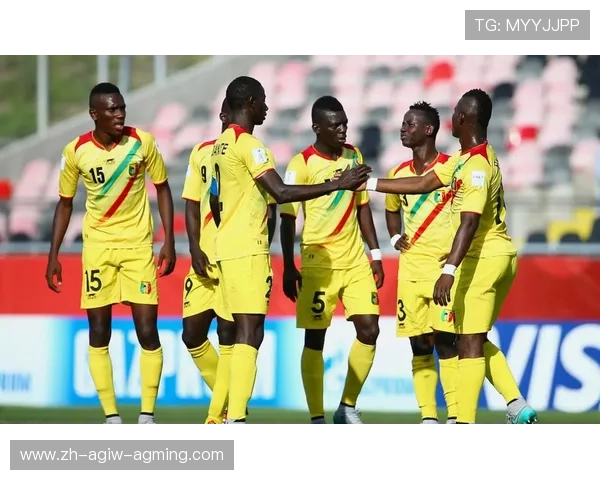 委员会成员爆料未接会议通知塞内加尔遭非洲足联剥夺冠军内幕